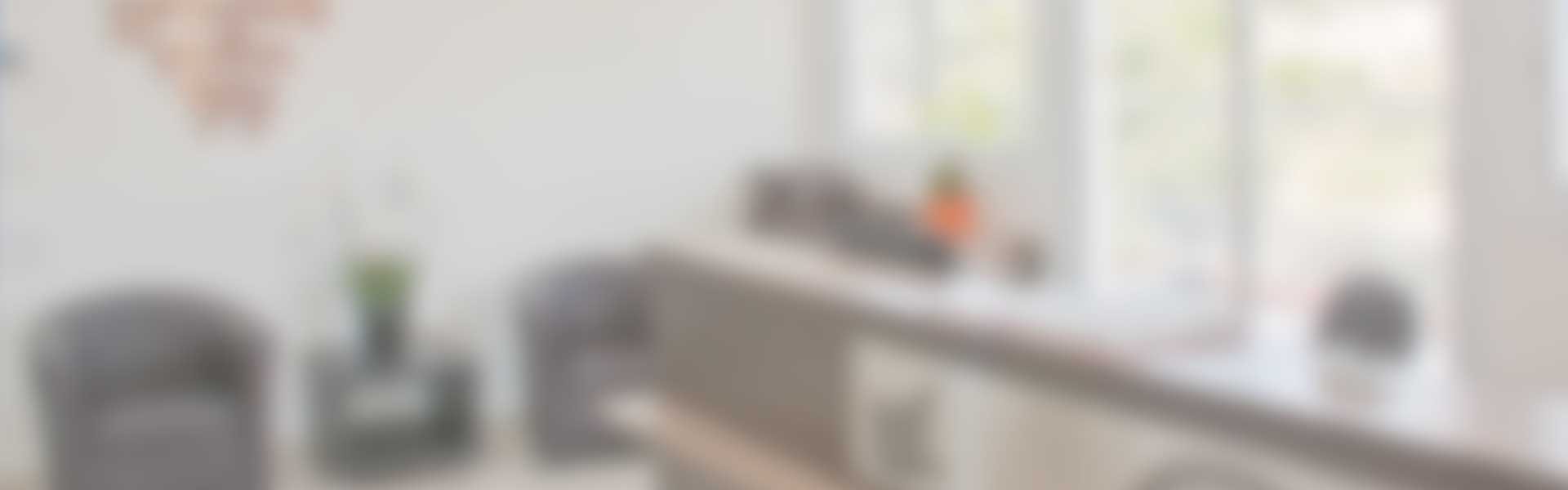 Main reception room blurred BG